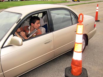 Tika-Driving-Lesson_w.jpg