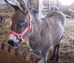IMG_1035CWR.jpg
